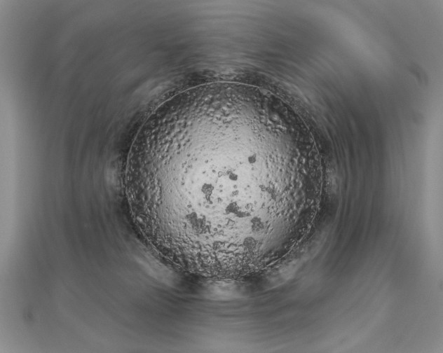 X0000112780181200908201536