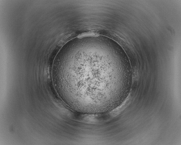 X0000112780182200908201536