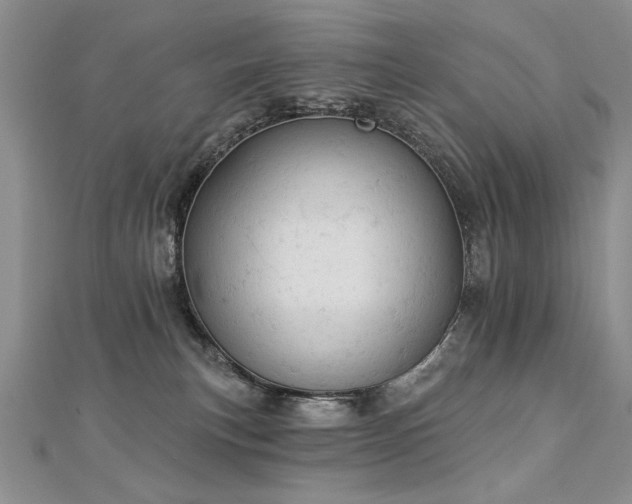 X0000112780183200908201536