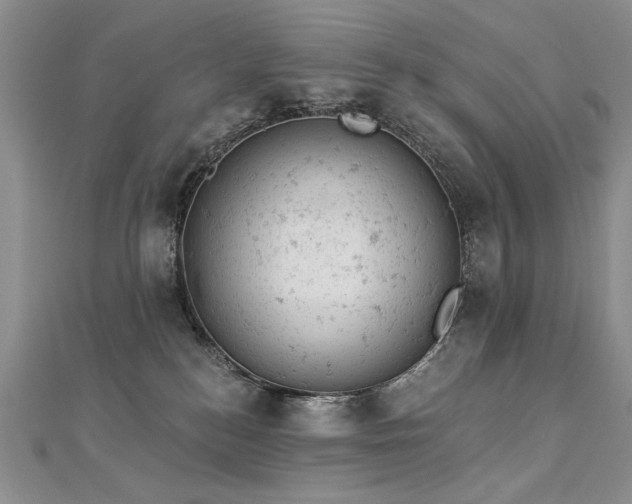 X0000112780184200908201536