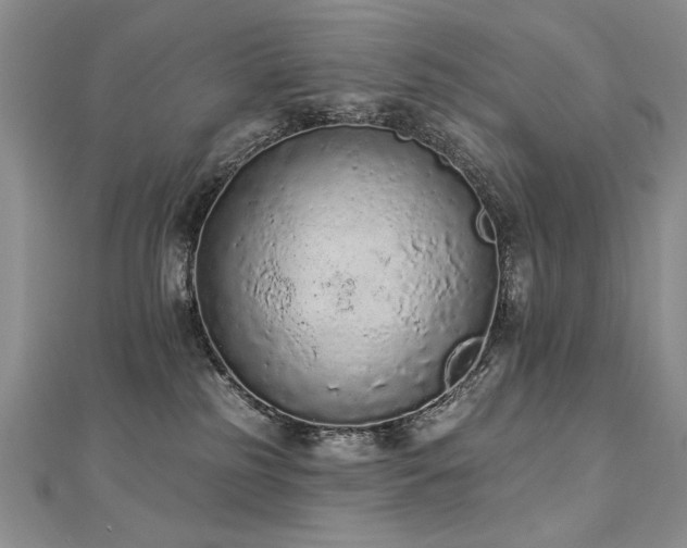 X0000112780185200908201536