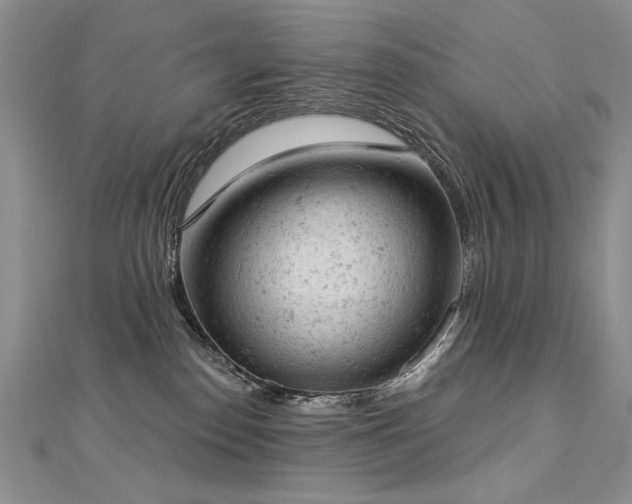 X0000112780186200908201536