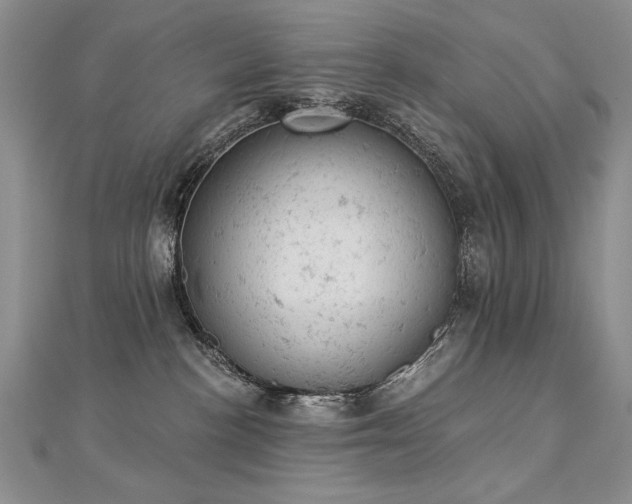 X0000112780188200908201536