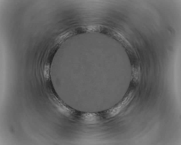 X0000112780189200908201536