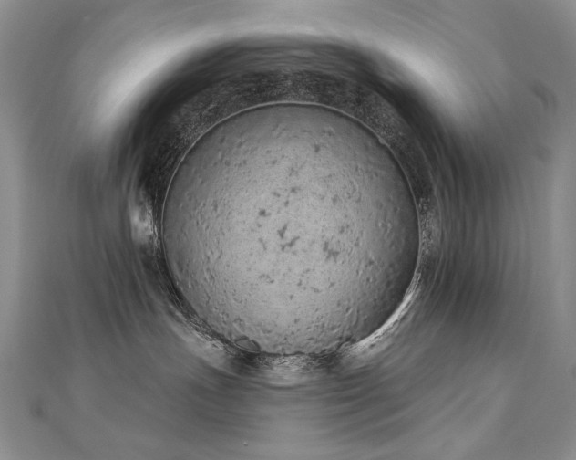 X0000112780191200908201536