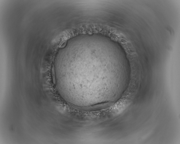 X0000112780192200908201536