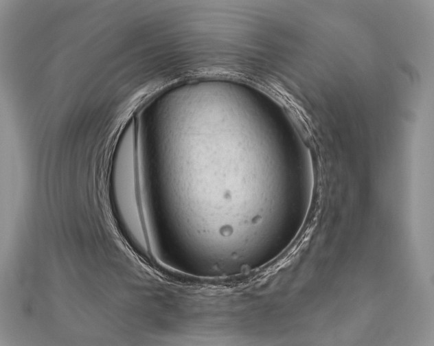 X0000112780193200908201536