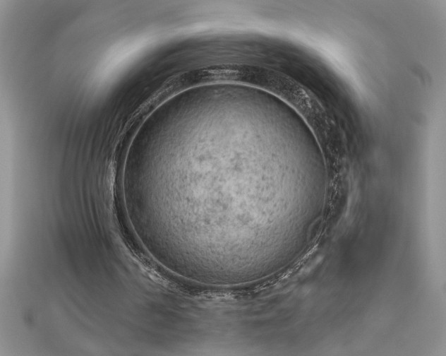 X0000112780194200908201536