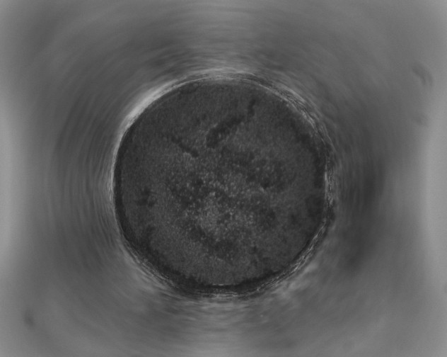 X0000112780196200908201536