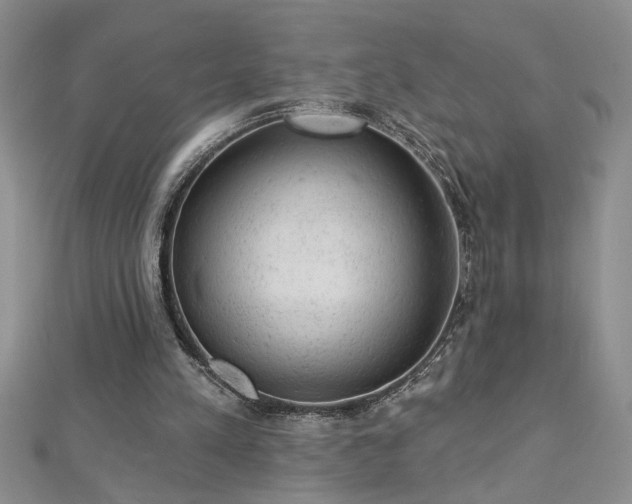 X0000112780197200908201536