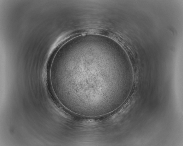 X0000112780198200908201536