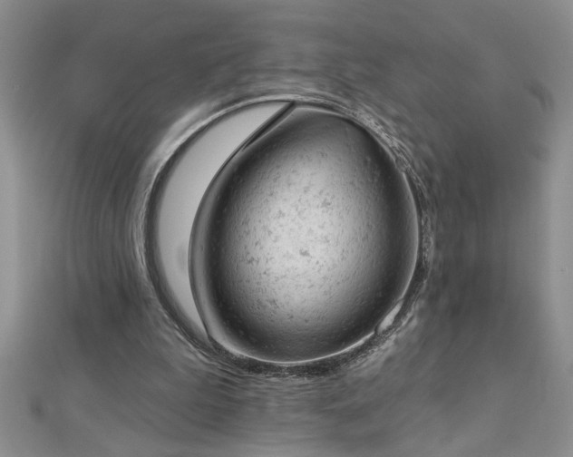 X0000112780199200908201536