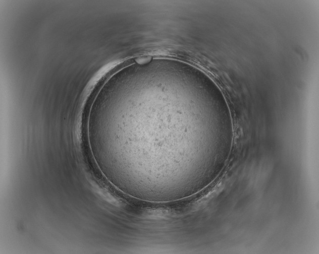 X0000112780200200908201536