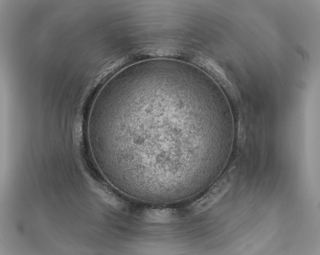 X0000112780202200908201536