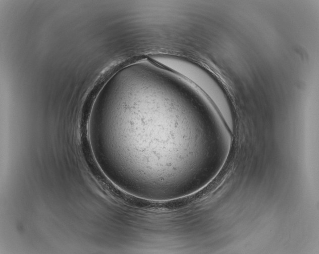 X0000112780203200908201536