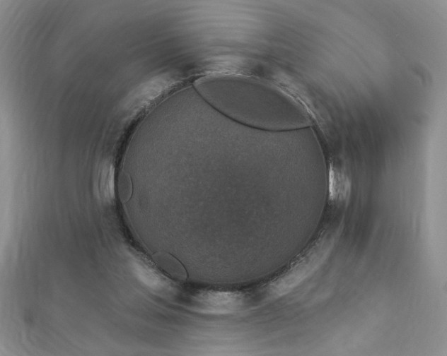 X0000112780205200908201536