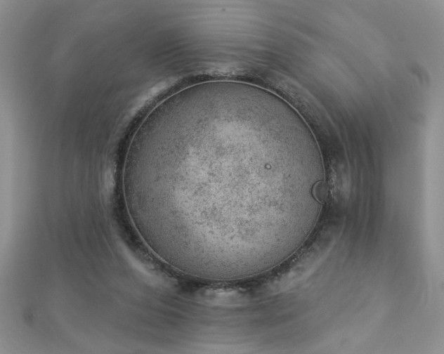 X0000112780208200908201535