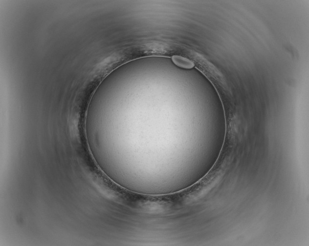 X0000112780209200908201535