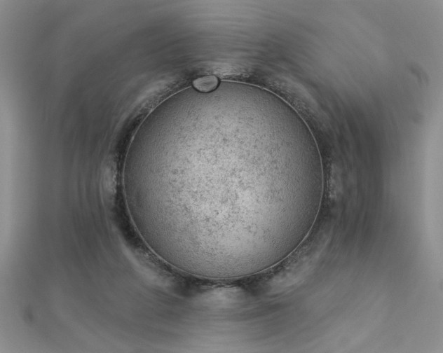 X0000112780210200908201535