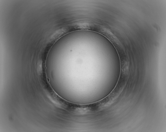 X0000112780213200908201535