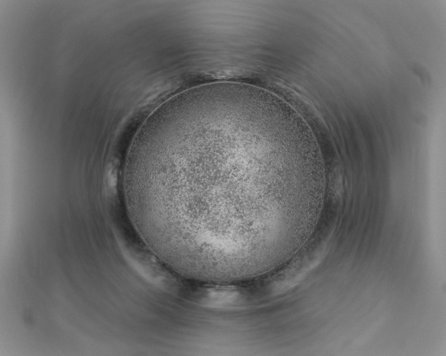 X0000112780214200908201535