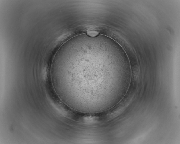 X0000112780216200908201535