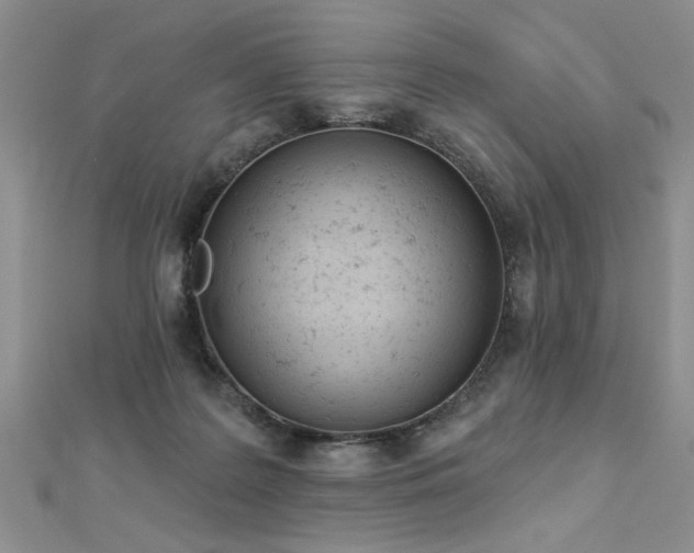 X0000112780219200908201535