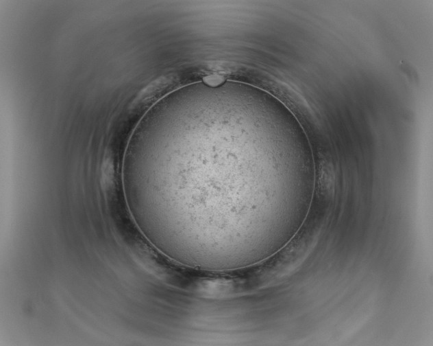 X0000112780220200908201535