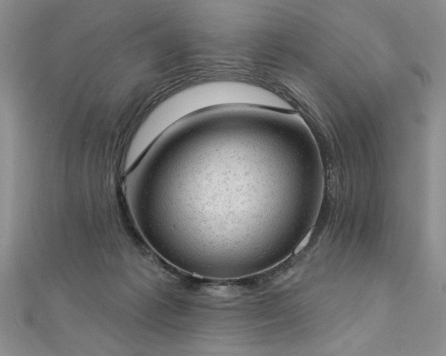 X0000112780221200908201535