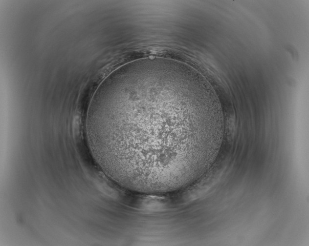 X0000112780222200908201535