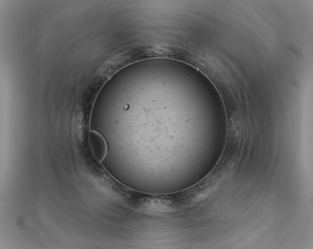 X0000112780223200908201535