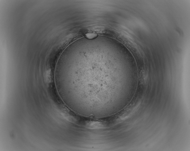 X0000112780224200908201535