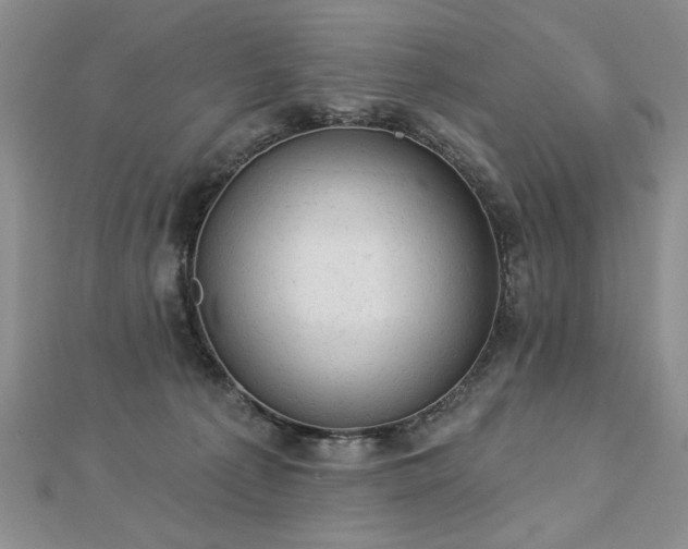 X0000112780225200908201535