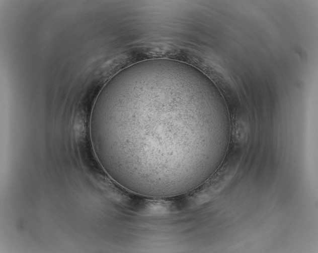 X0000112780226200908201535