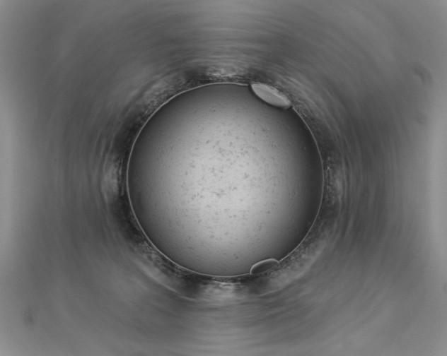 X0000112780227200908201535