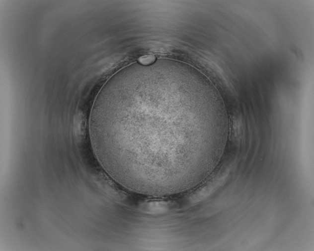 X0000112780228200908201535