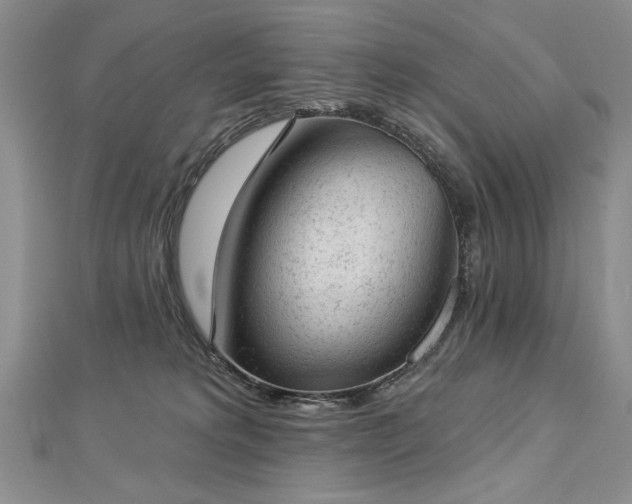 X0000112780229200908201535