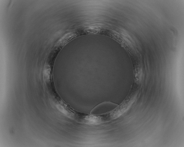 X0000112780231200908201535