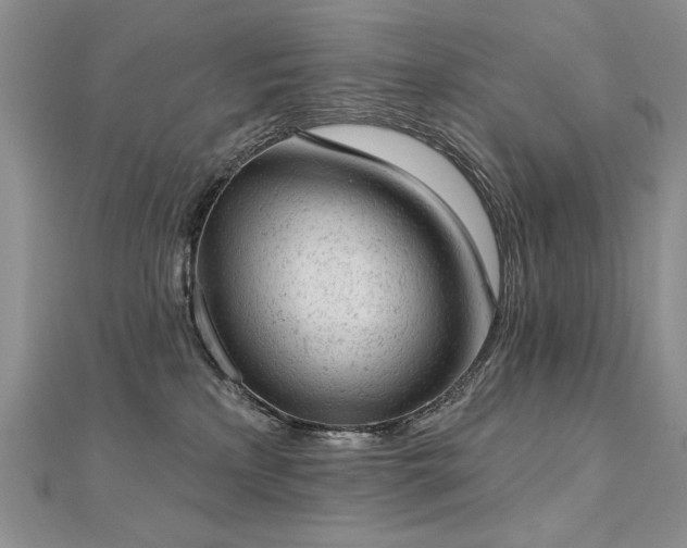 X0000112780233200908201535