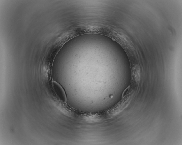 X0000112780235200908201535