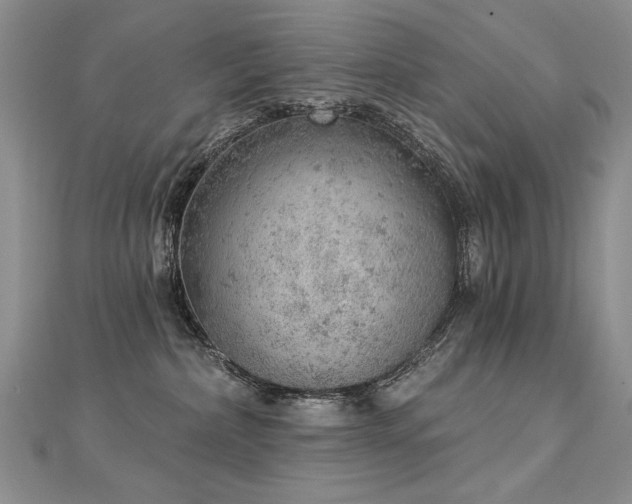 X0000112780236200908201535