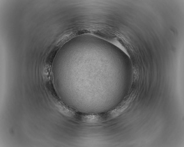 X0000112780237200908201535