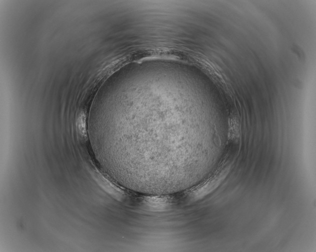 X0000112780238200908201535