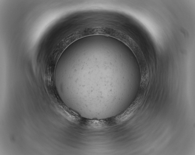 X0000112780239200908201535