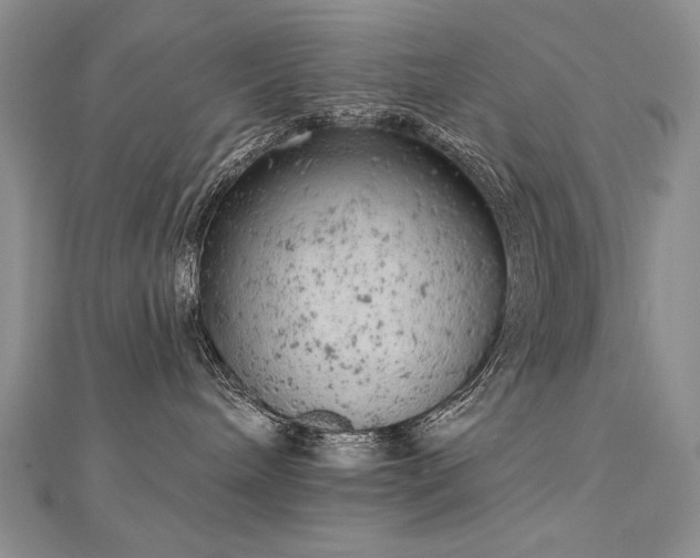 X0000112780240200908201535