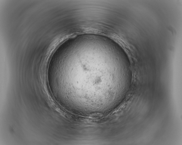 X0000112780241200908201534