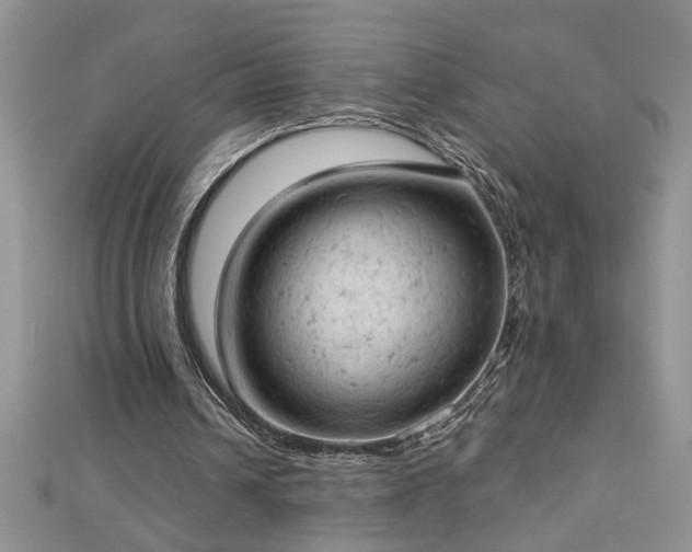 X0000112780242200908201534