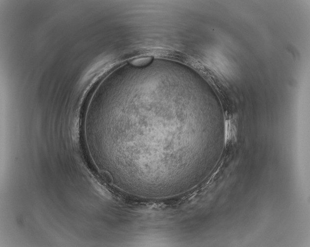 X0000112780243200908201534