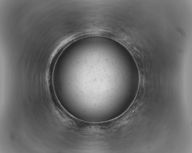 X0000112780244200908201534