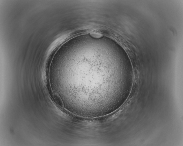 X0000112780245200908201534